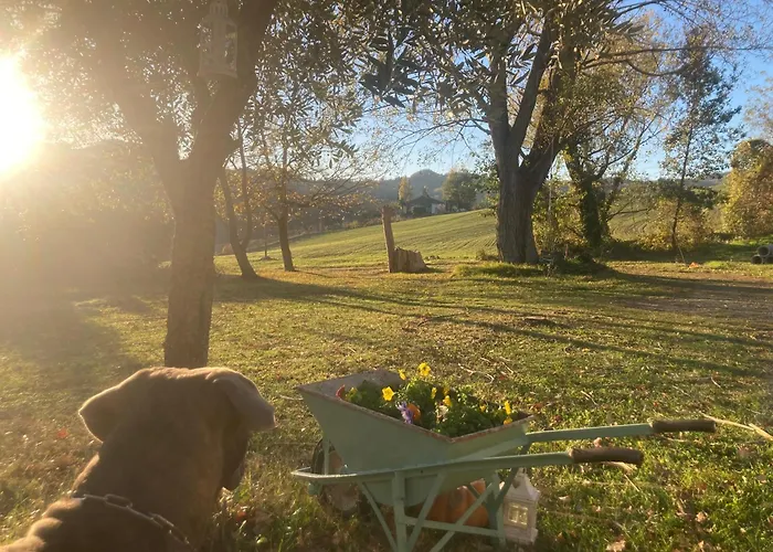 Podere Canova D' Orlando 