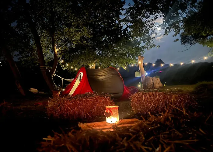 بيت ضيافة Podere Canova D' Orlando 