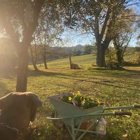 Podere Canova D' Orlando 