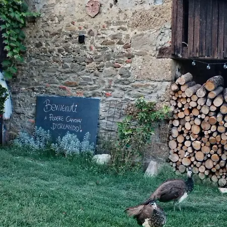 Podere Canova D' Orlando 