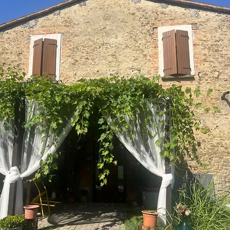 Podere Canova D' Orlando 