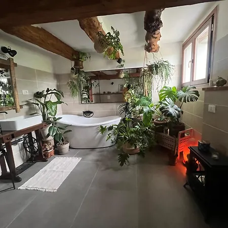 Guest house Podere Canova D' Orlando 