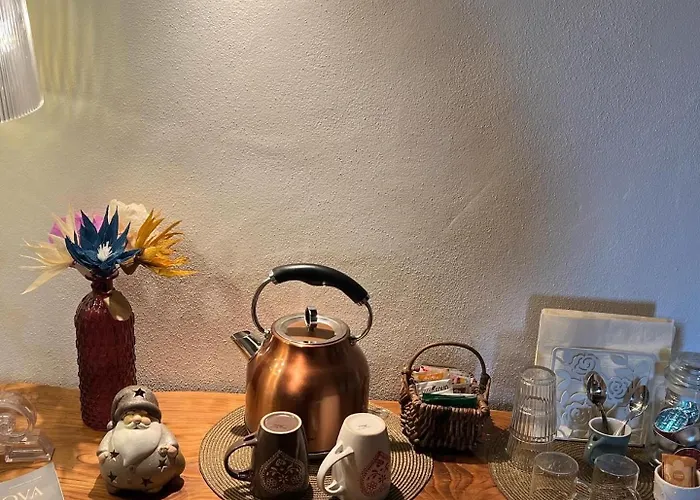 Podere Canova D' Orlando 